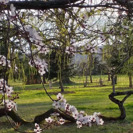 Domaine Berenguer Ouches
