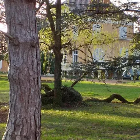 Domaine Berenguer