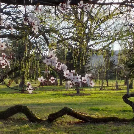 Domaine Berenguer *